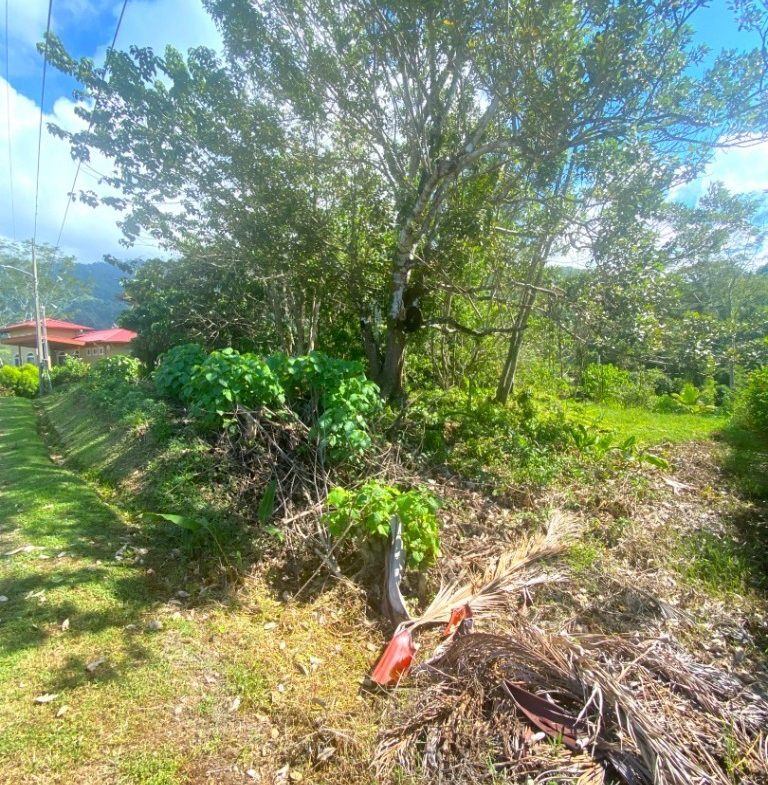PROPERTY WITH OCEAN FRONT VIEWS, IN OJOCHAL – 0.31 ACRES