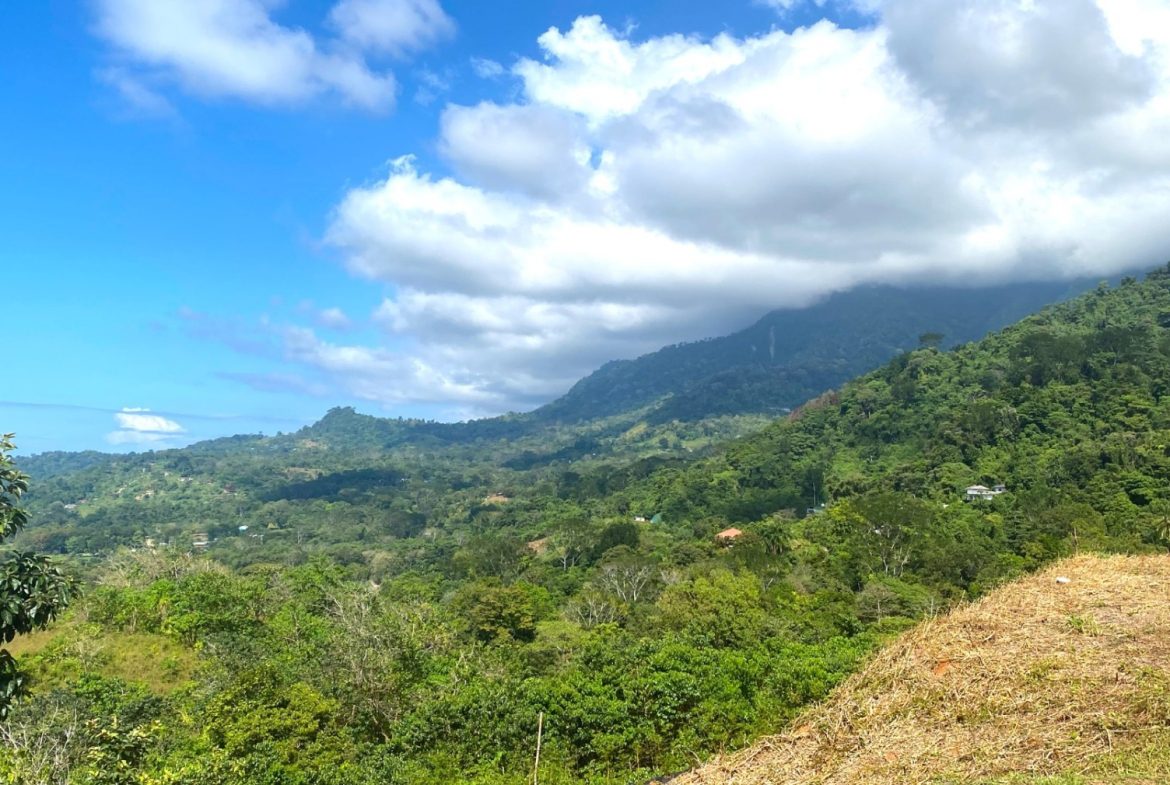 PROPERTY WITH OCEAN FRONT VIEWS, IN OJOCHAL – 0.31 ACRES