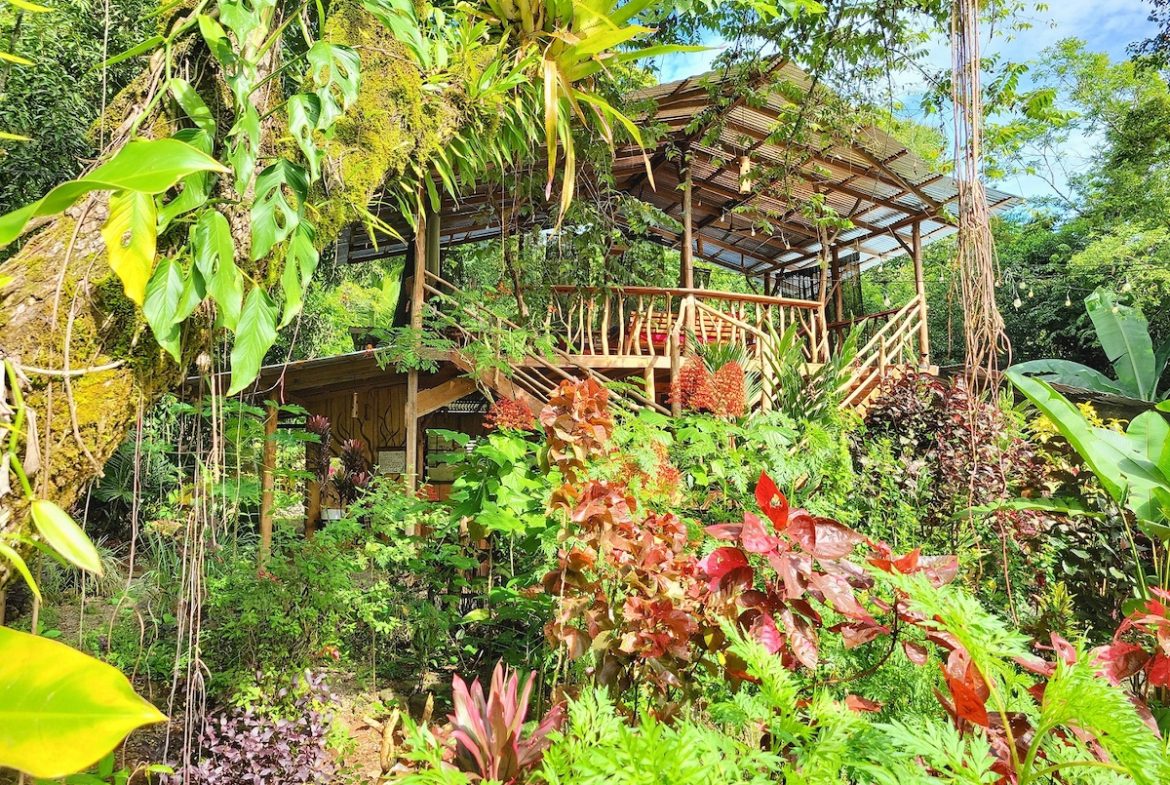 CASCADA ELYSIANA – ECO-RETREAT WITH HUGE WATERFALL