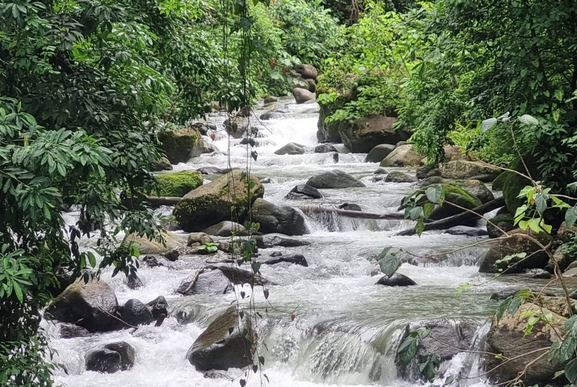 PROPERTY IN THE JUNGLE IN OJOCHAL – 1.82 ACRES