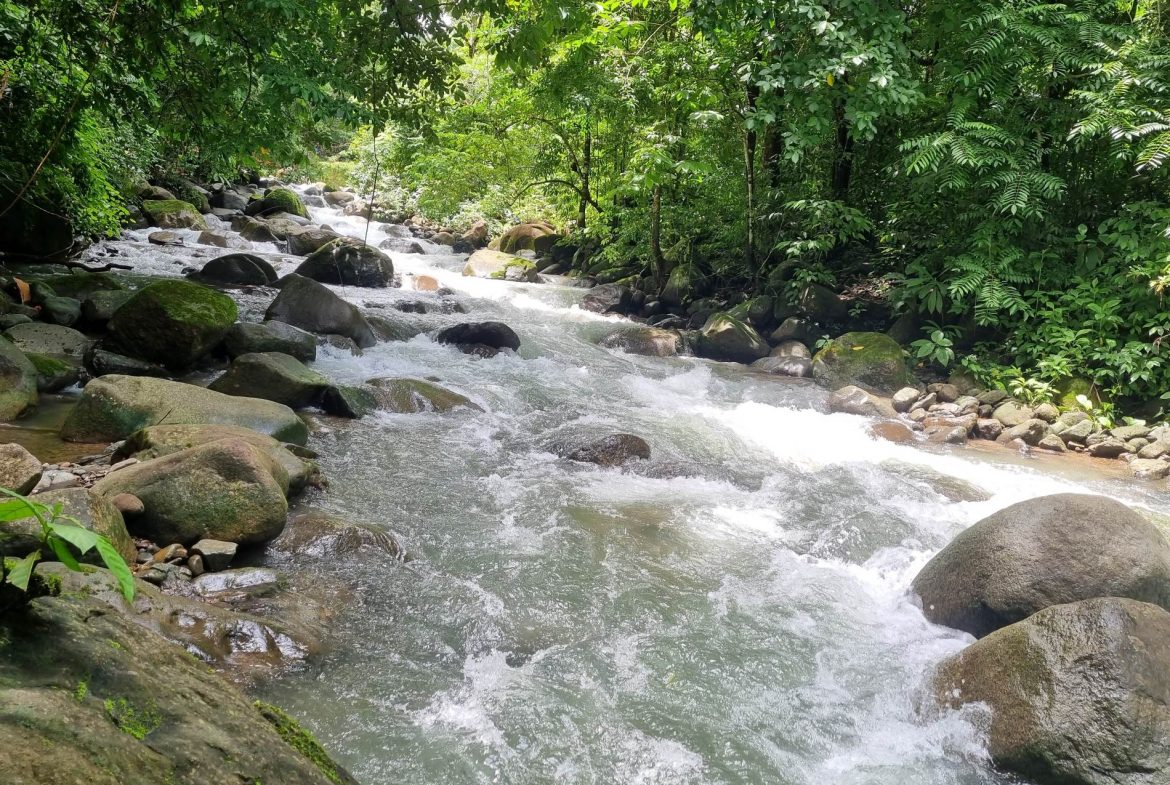 PROPERTY IN THE JUNGLE IN OJOCHAL – 1.82 ACRES