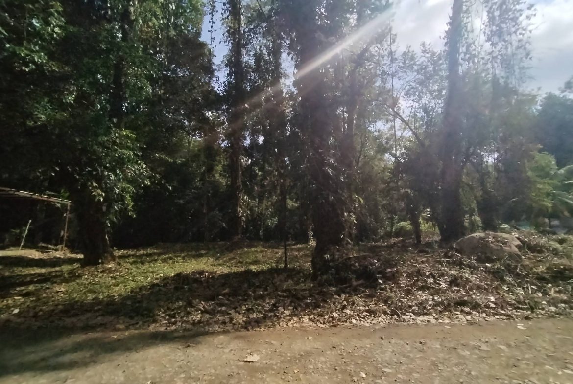 PROPERTY IN THE JUNGLE IN OJOCHAL – 1.82 ACRES