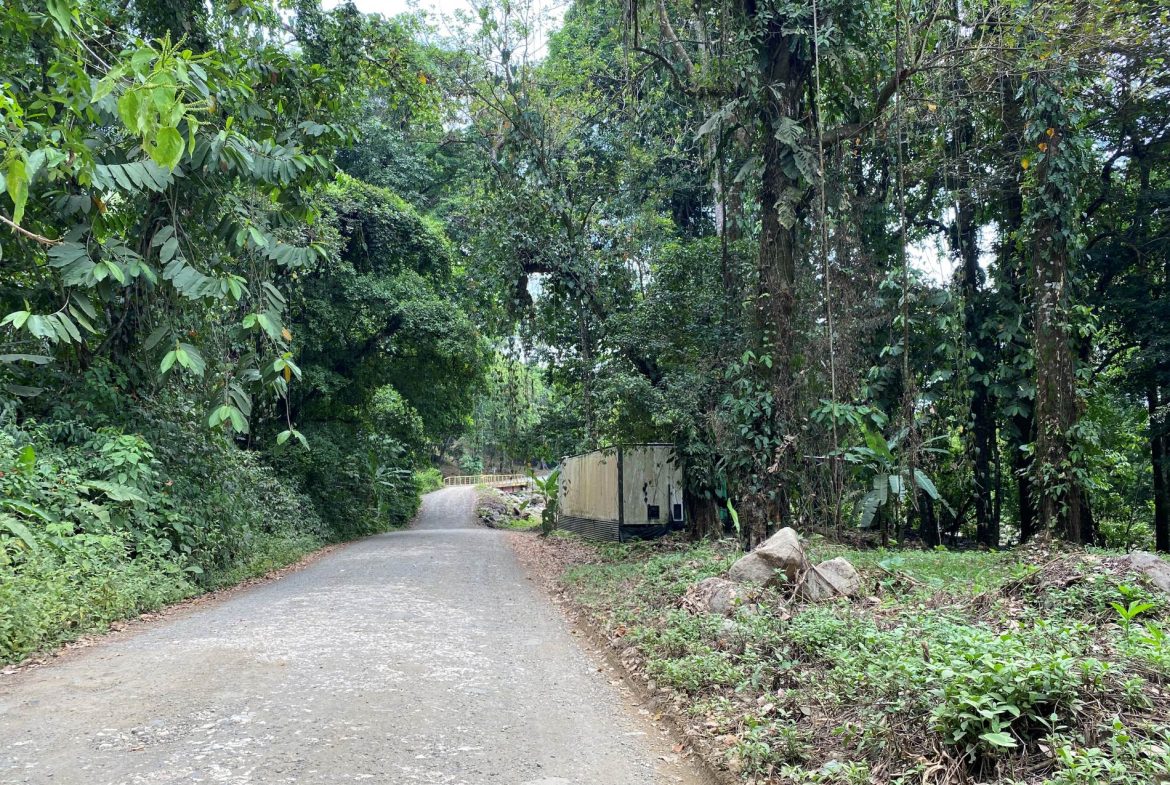 PROPERTY IN THE JUNGLE IN OJOCHAL – 1.82 ACRES