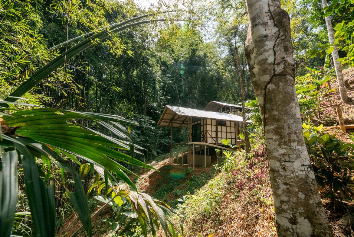 CASCADA ELYSIANA – ECO-RETREAT WITH HUGE WATERFALL