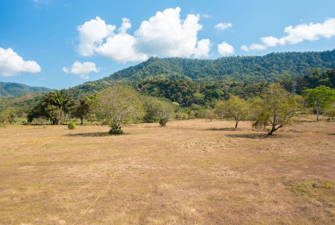 PROPERTY NEAR TO THE BEACH, IN MATAPALO – 170 ACRES, Uvita, Costa Rica — photo 7