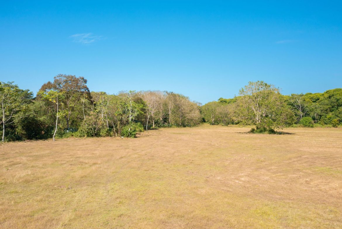 PROPERTY NEAR TO THE BEACH, IN MATAPALO – 170 ACRES, Uvita, Costa Rica — photo 8