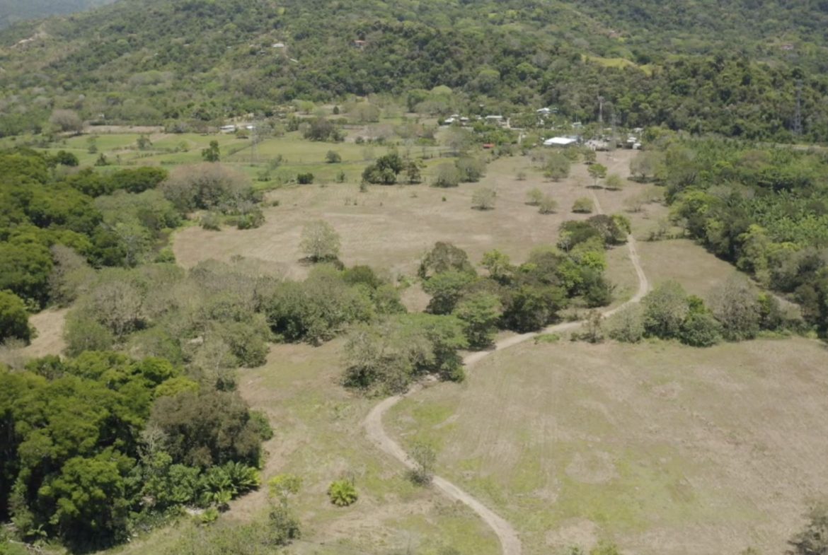 PROPERTY NEAR TO THE BEACH, IN MATAPALO – 170 ACRES