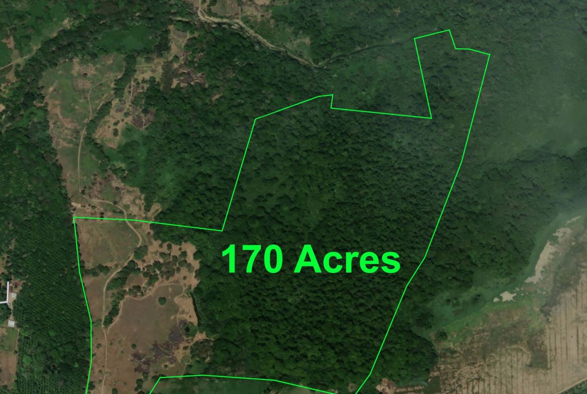 PROPERTY NEAR TO THE BEACH, IN MATAPALO – 170 ACRES, Uvita, Costa Rica — photo 2