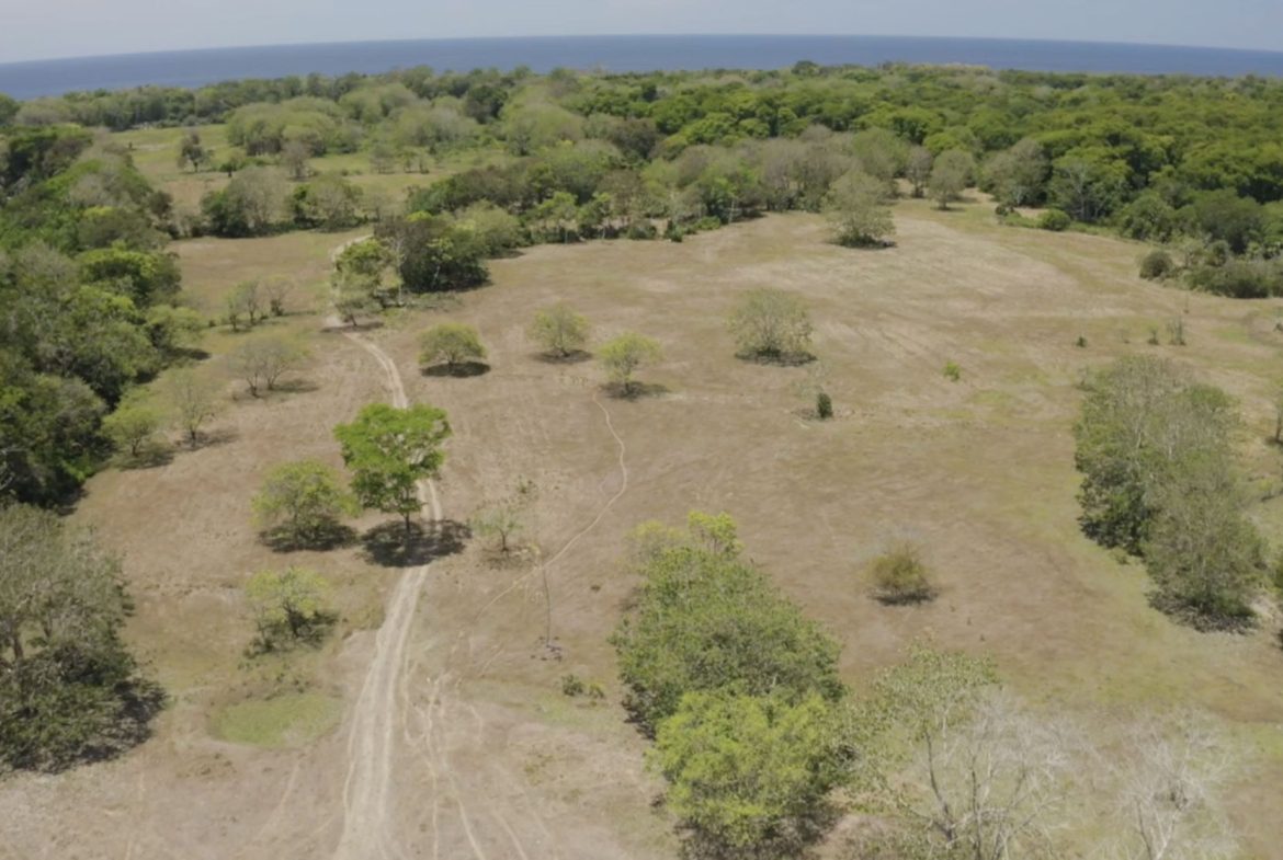 PROPERTY NEAR TO THE BEACH, IN MATAPALO – 170 ACRES, Uvita, Costa Rica — photo 3