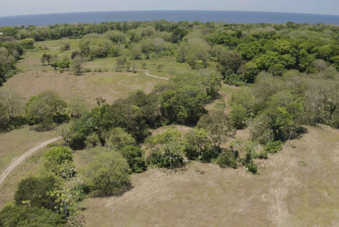 PROPERTY NEAR TO THE BEACH, IN MATAPALO – 170 ACRES, Uvita, Costa Rica — photo 4