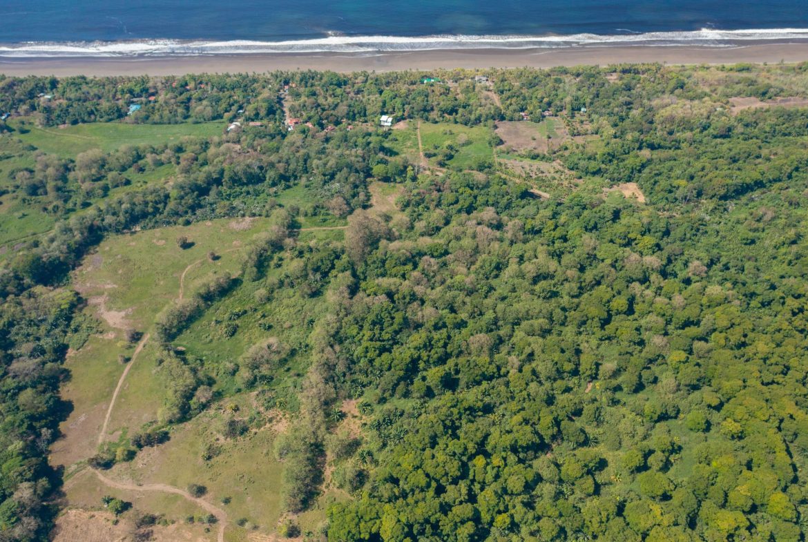 PROPERTY NEAR TO THE BEACH, IN MATAPALO – 170 ACRES, Uvita, Costa Rica — photo 5