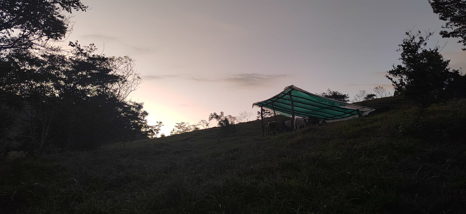 WhatsApp Image 2024-05-15 at 2.22.01 PM (2)