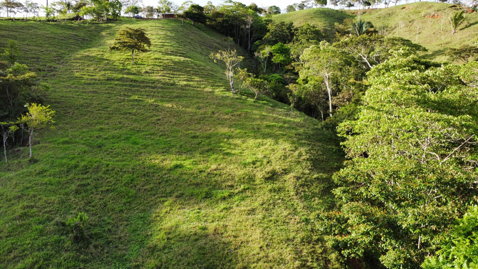 WhatsApp Image 2024-05-17 at 6.07.23 PM