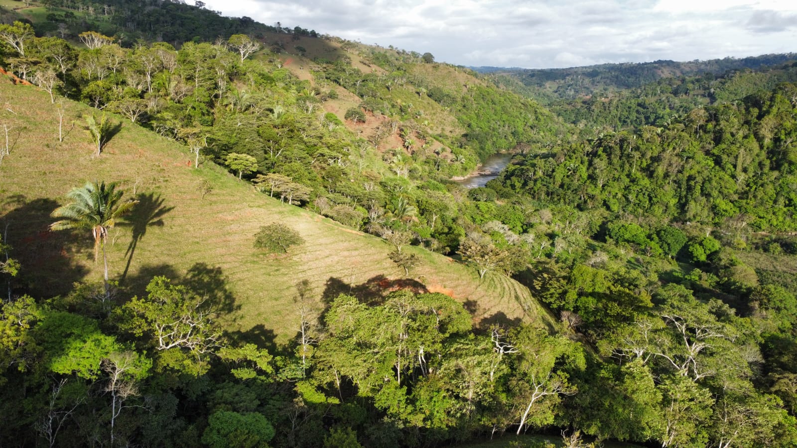 WhatsApp Image 2024-05-17 at 6.07.24 PM