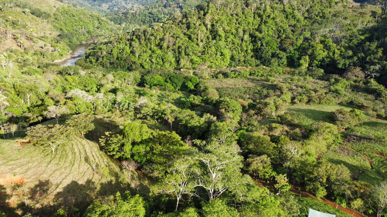 WhatsApp Image 2024-05-17 at 6.07.25 PM (1)