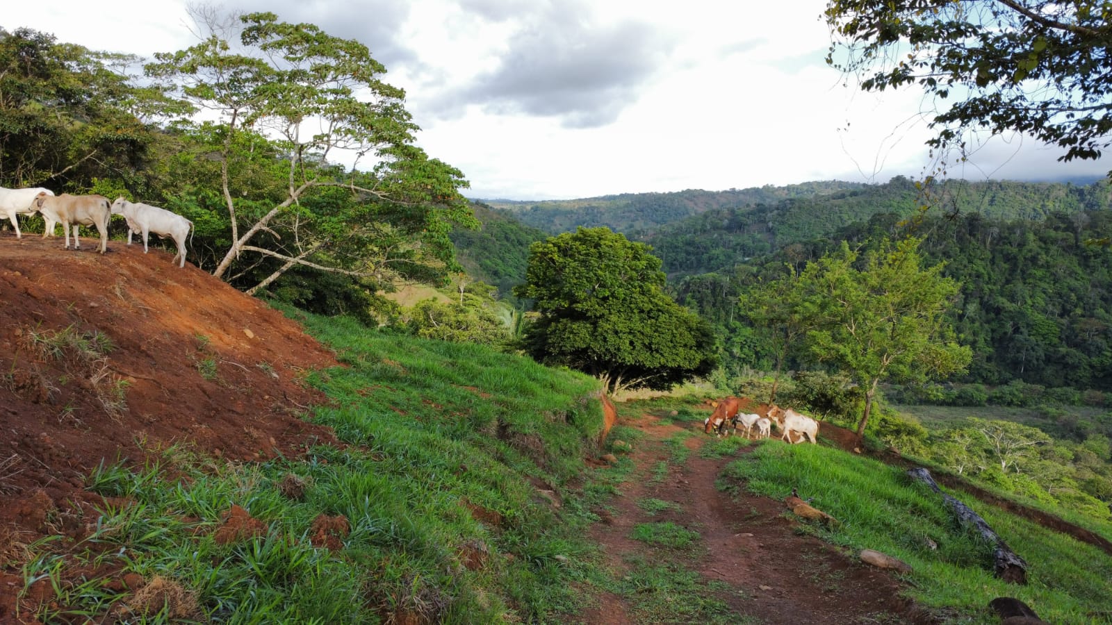 WhatsApp Image 2024-05-17 at 6.07.32 PM (1)