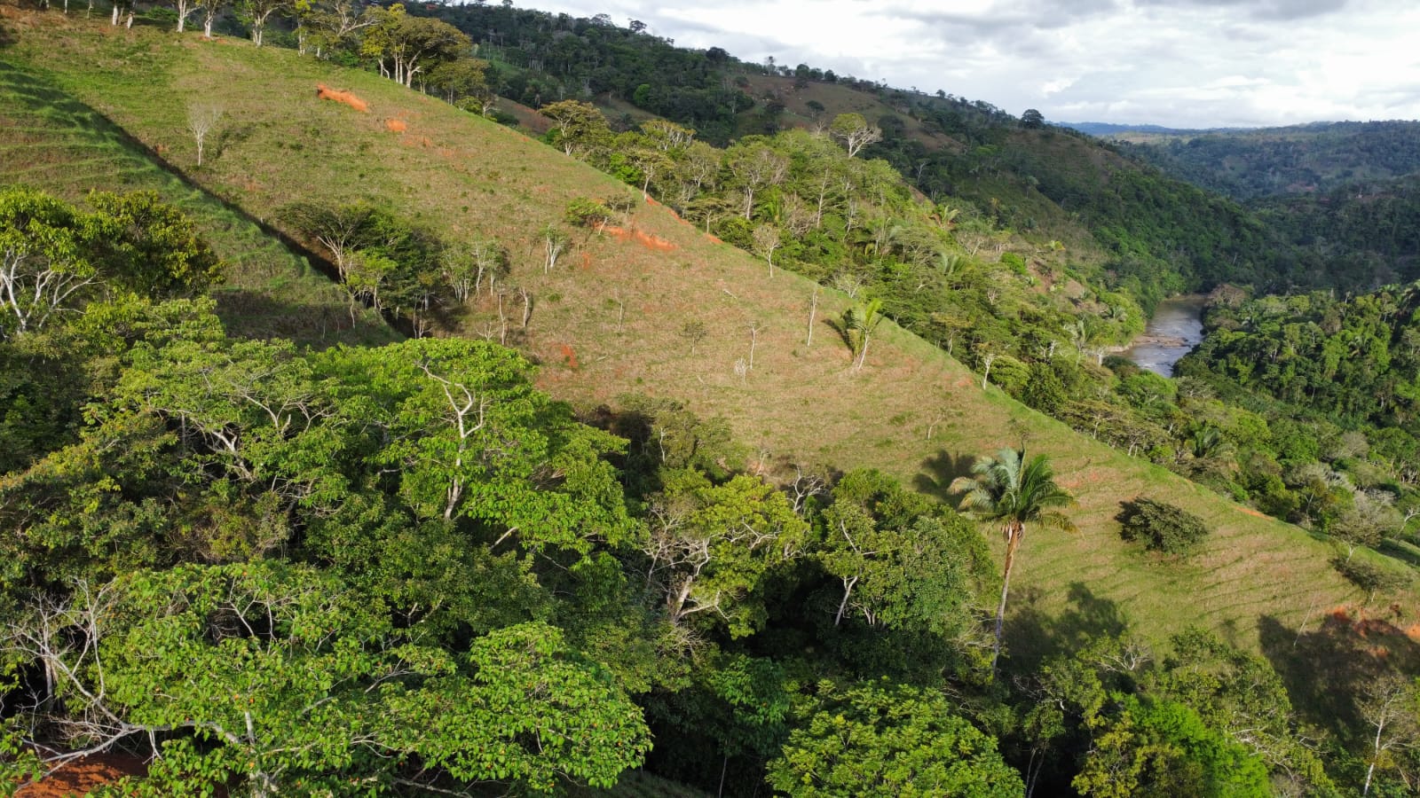 WhatsApp Image 2024-05-17 at 6.07.32 PM (2)