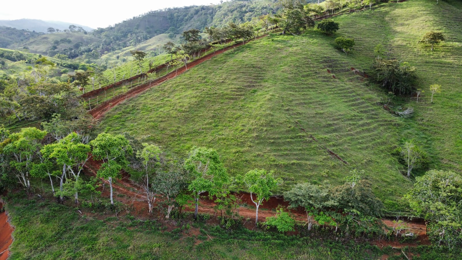 WhatsApp Image 2024-05-17 at 6.07.32 PM