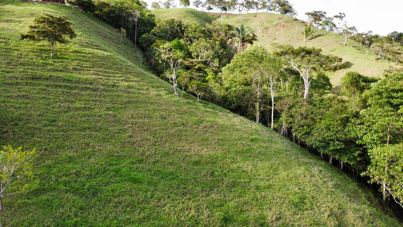 WhatsApp Image 2024-05-17 at 6.07.33 PM