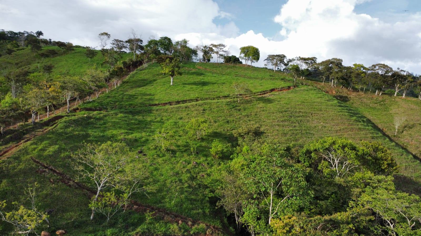 WhatsApp Image 2024-05-17 at 6.07.35 PM (1)