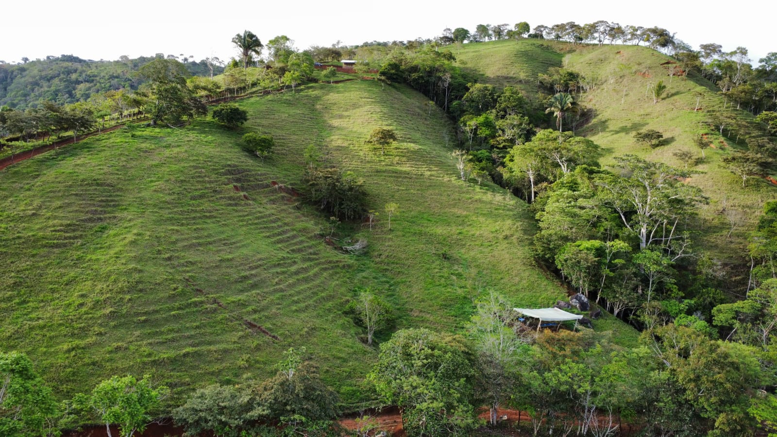 WhatsApp Image 2024-05-17 at 6.10.06 PM (2)