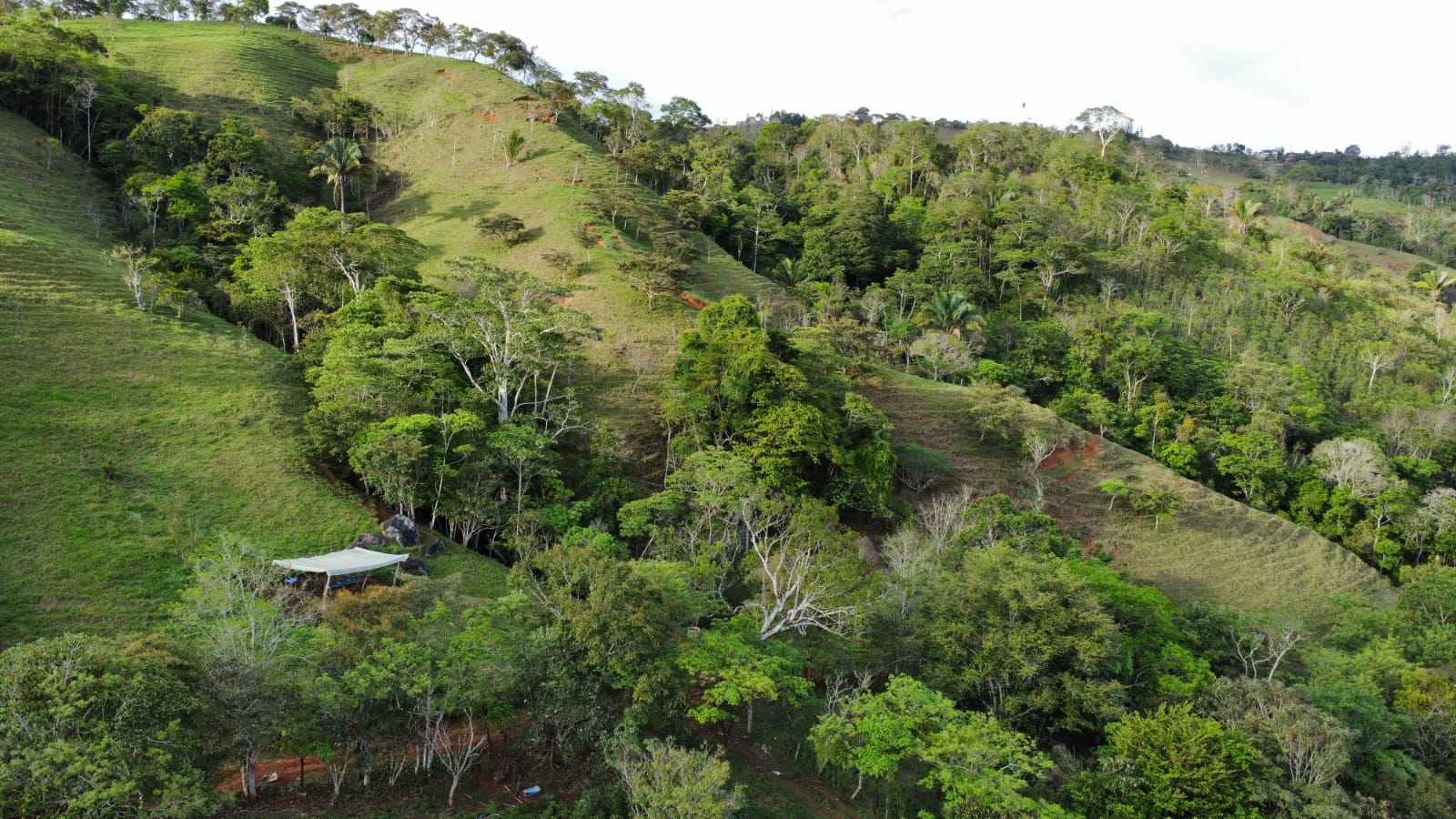 WhatsApp Image 2024-05-17 at 6.10.06 PM