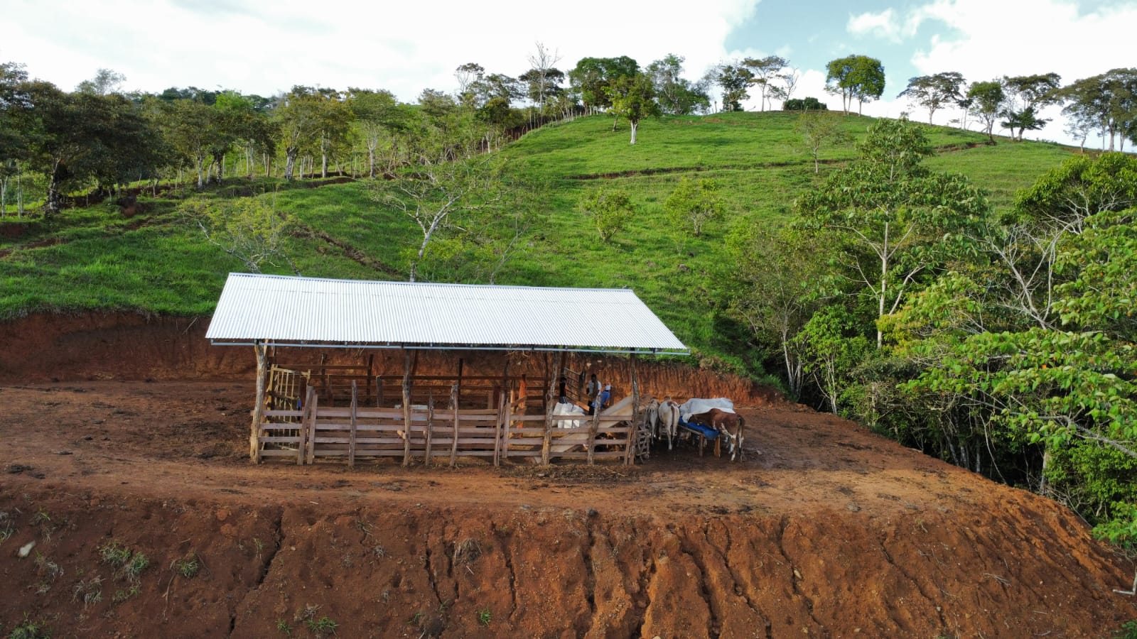 WhatsApp Image 2024-05-17 at 6.10.07 PM (1)