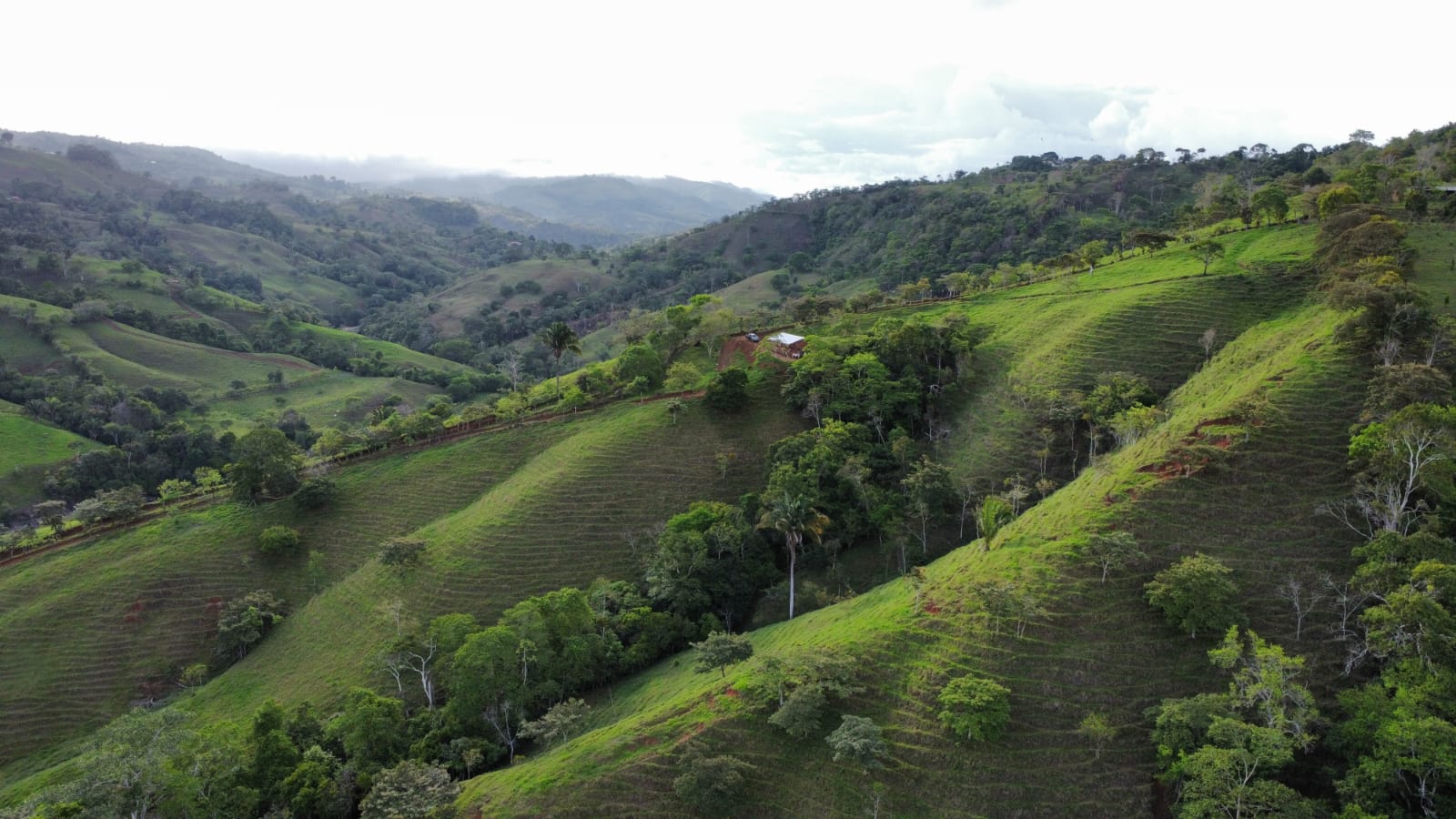 WhatsApp Image 2024-05-17 at 6.10.07 PM