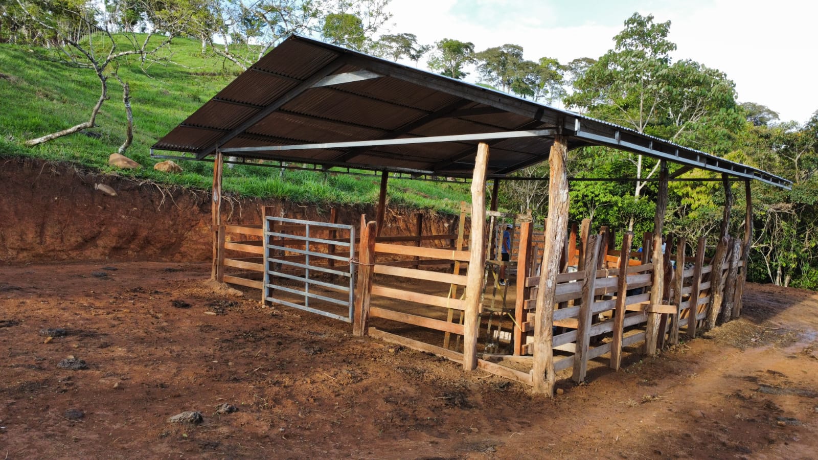 WhatsApp Image 2024-05-17 at 6.10.08 PM