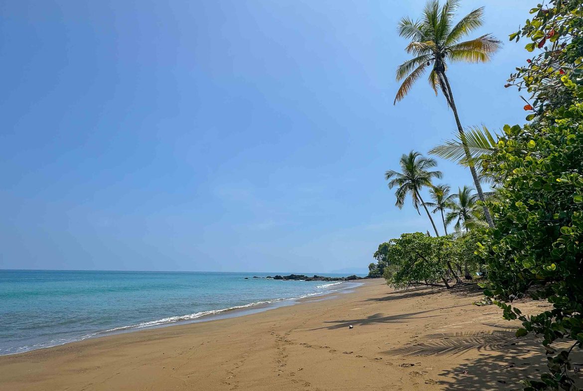 PROPERTY WITH OCEAN VIEW, IN DRAKE BAY GOLFITO – 6.4 ACRES