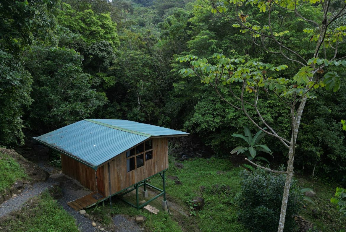PROPERTY NEAT TO THE RIVER ,IN TINAMASTES 1.65 ACRES, Uvita, Costa Rica — photo 7