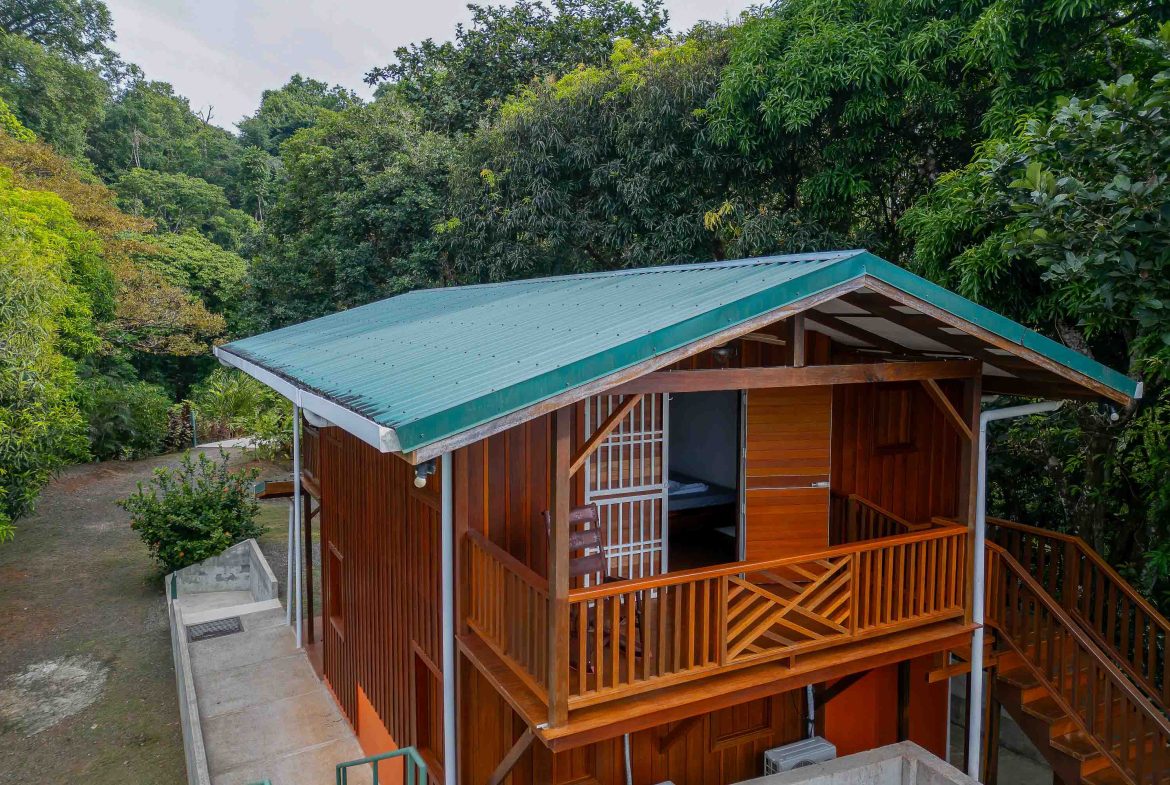 PROPERTY WITH OCEAN VIEW, IN DRAKE BAY GOLFITO – 6.4 ACRES, Uvita, Costa Rica — photo 3