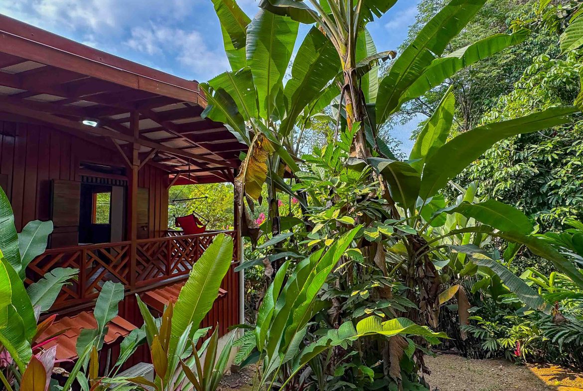 PROPERTY WITH OCEAN VIEW, IN DRAKE BAY GOLFITO – 6.4 ACRES, Uvita, Costa Rica — photo 5
