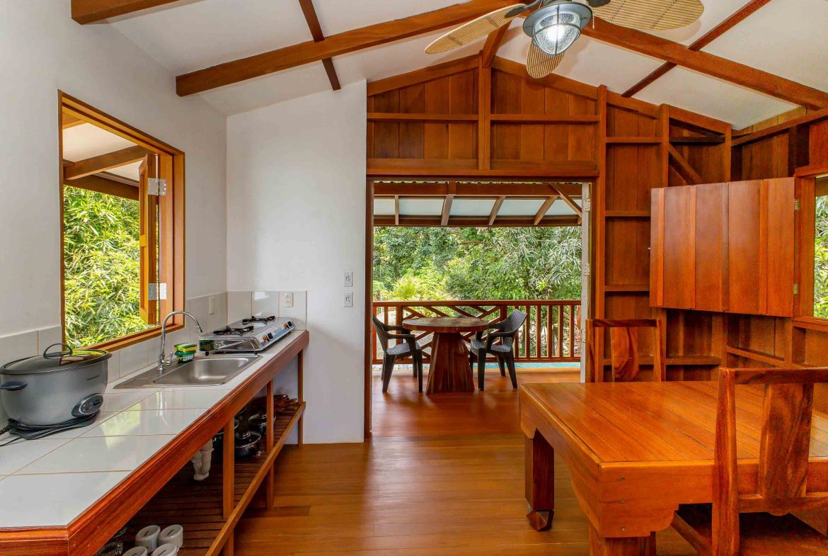 PROPERTY WITH OCEAN VIEW, IN DRAKE BAY GOLFITO – 6.4 ACRES, Uvita, Costa Rica — photo 6