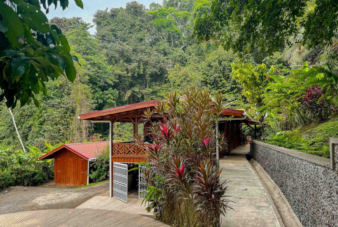 PROPERTY WITH OCEAN VIEW, IN DRAKE BAY GOLFITO – 6.4 ACRES, Uvita, Costa Rica — photo 2