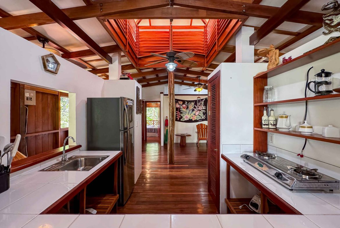 PROPERTY WITH OCEAN VIEW, IN DRAKE BAY GOLFITO – 6.4 ACRES, Uvita, Costa Rica — photo 7