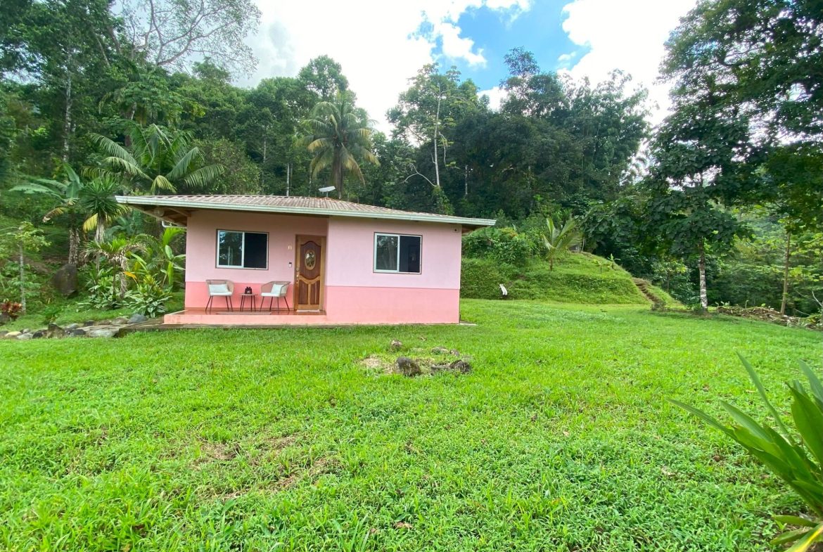 PROPERTY NEAT TO THE RIVER ,IN TINAMASTES 1.65 ACRES, Uvita, Costa Rica — photo 2