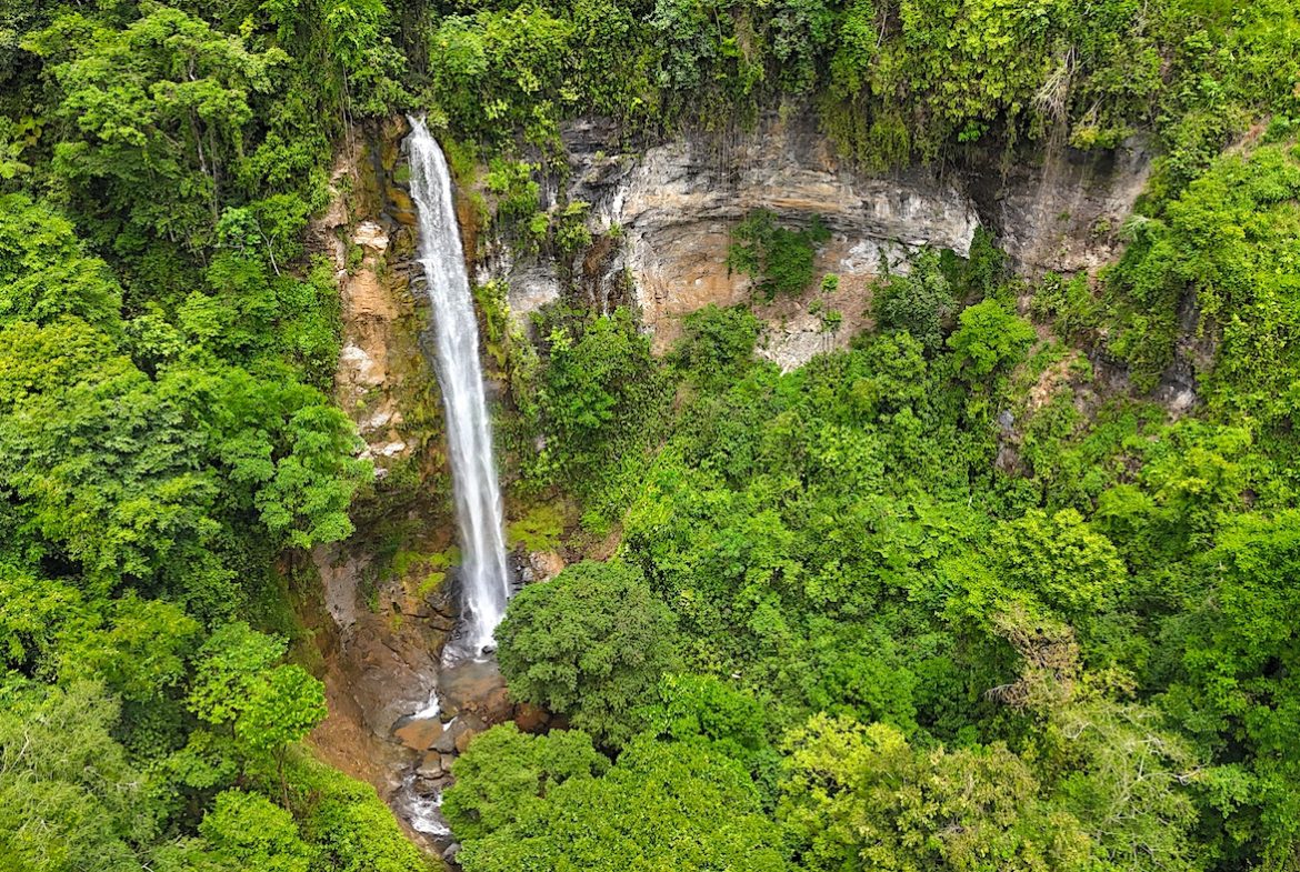 CASCADA ELYSIANA – ECO-RETREAT WITH HUGE WATERFALL