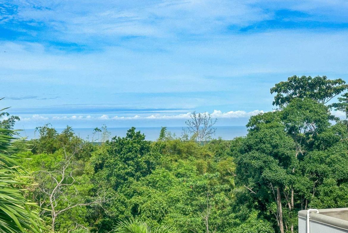 VILLA PROPERTY WITH ONE BEDROOM CONDO IN TRES RIOS – 0.1 ACRES