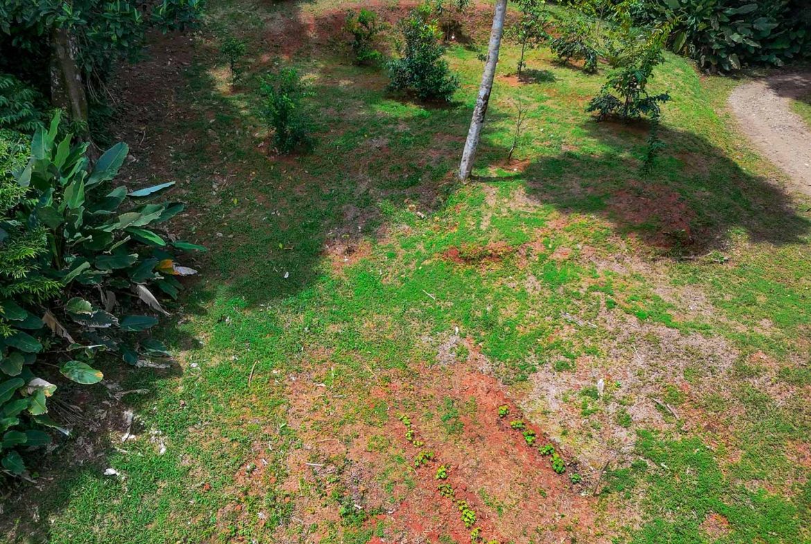 PROPERTY WITH 4 BEDROOM HOME, IN OJOCHAL – 12 ACRES