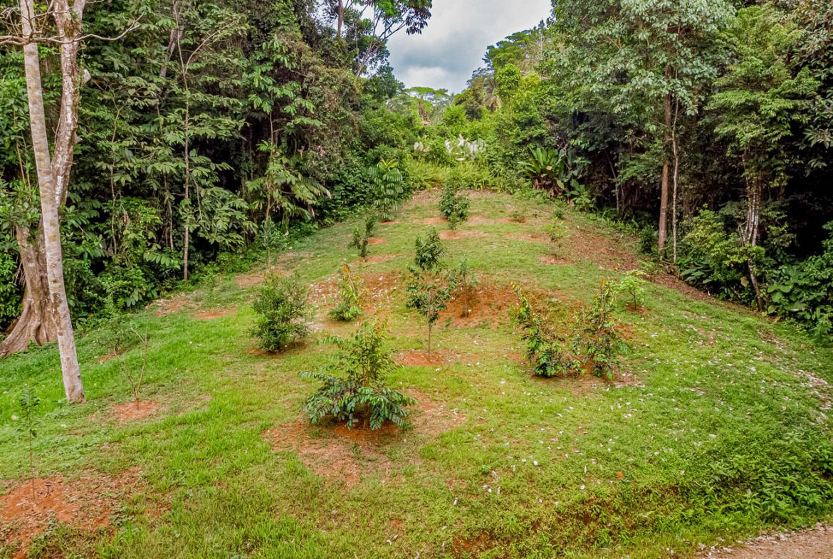 PROPERTY WITH 4 BEDROOM HOME, IN OJOCHAL – 12 ACRES