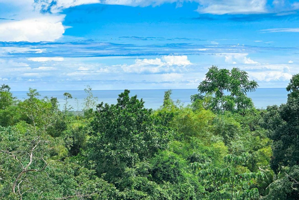 CONDOMINIUM WITH THREE BEDROOM VILLA IN TRES RIOS – 0.02 ACRES