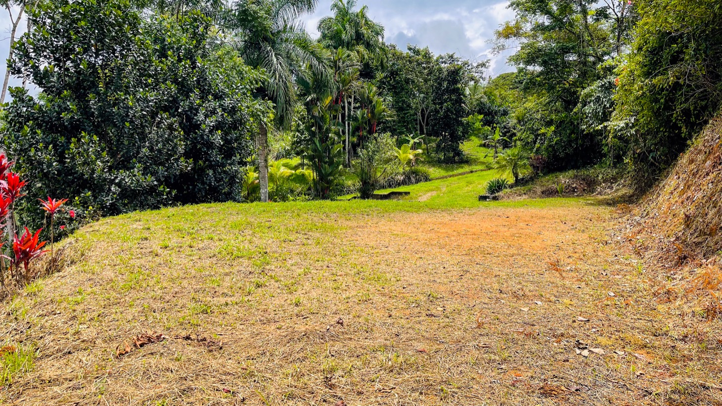 120003 Three Building Sites For Sale 07