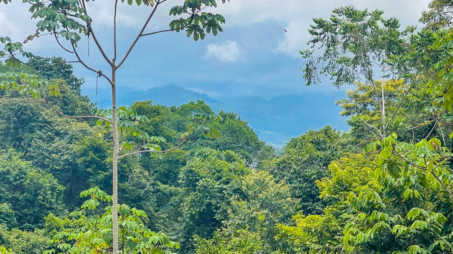 120003 Three Building Sites For Sale 19