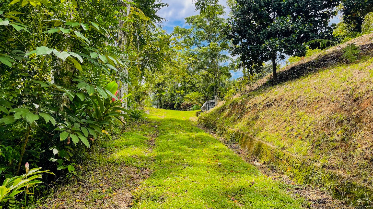 120003 Three Building Sites For Sale 24