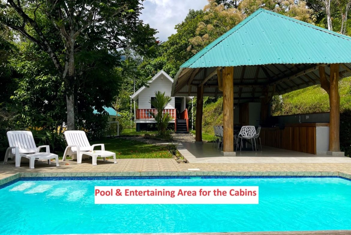 LUXURY PROPERTY WITH TWO CABINS IN OJOCHAL – 3.12 ACRES, Uvita, Costa Rica — photo 4