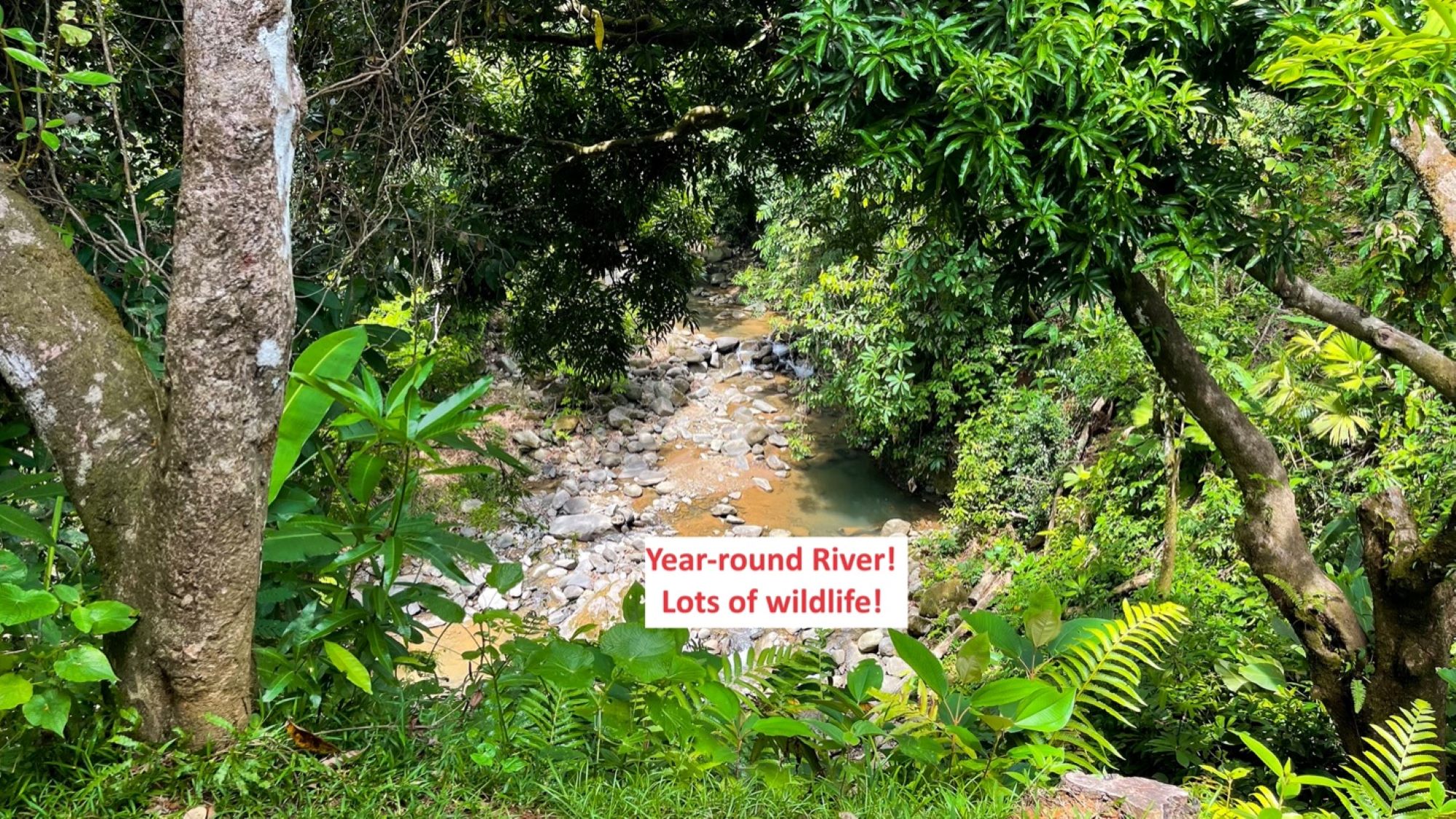 5432 – Luxury Ocean View Home with Chic Riverfront Cabins_26