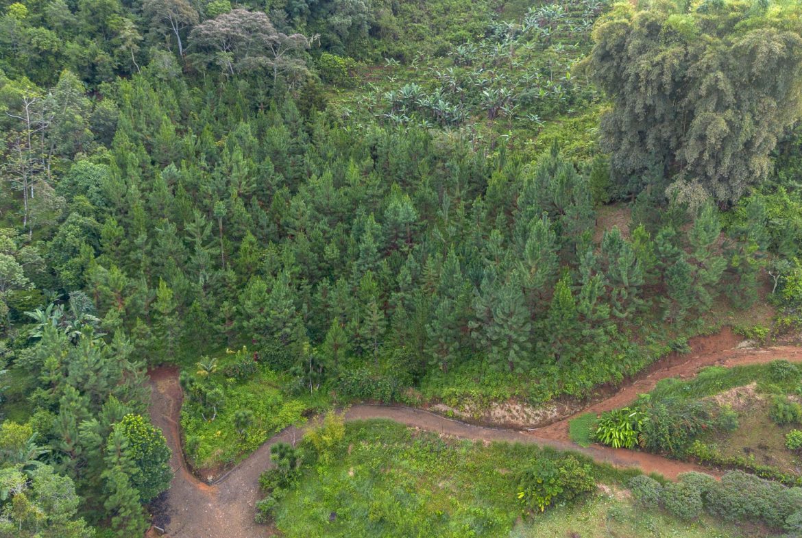 BUILDING PROPERTY WITH MOUNTAIN VIEW IN SAN RAMON – 10.21 ACRES