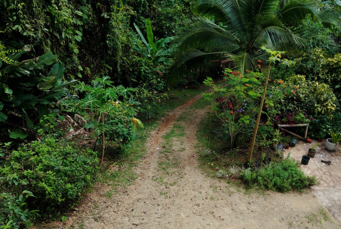 PROPERTY  WITH A GUEST HOUSE, IN PUNTA MALA – 1.51 ACRES, Uvita, Costa Rica — photo 4