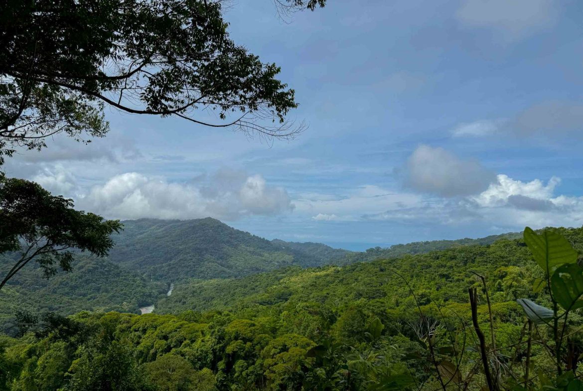 JUNGLE PROPERTY WITH MOUNTAIN VIEWS, IN DOMINICALITO – 1.2 ACRES